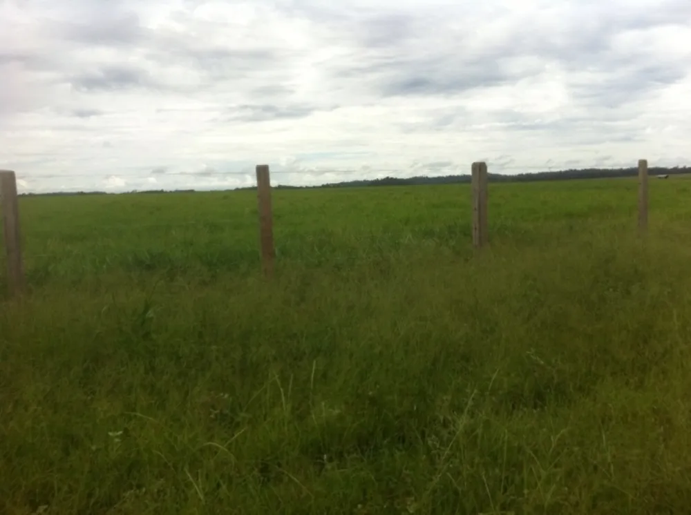 Terreno, 15700 hectares - Foto 10