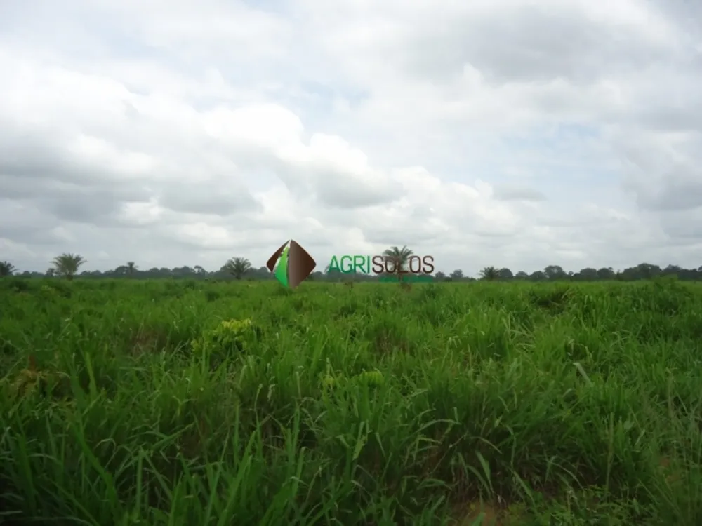 Terreno, 8800 m² - Foto 10
