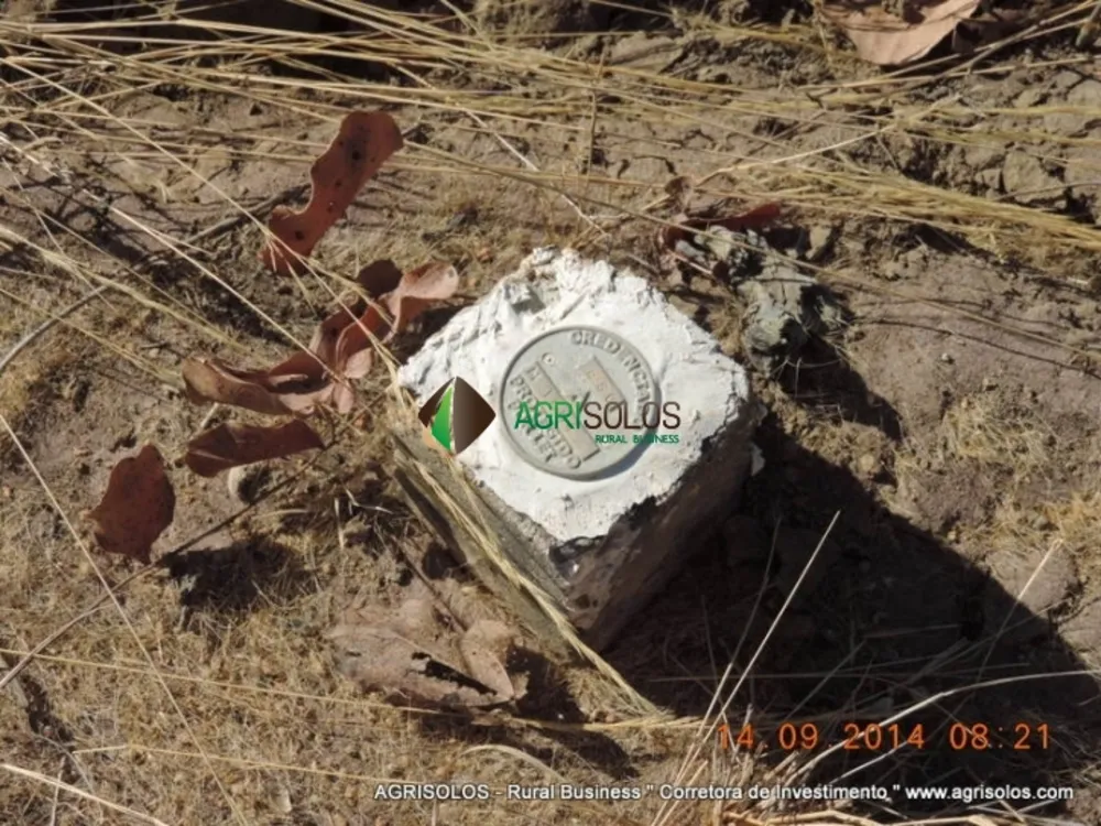 Terreno, 3 hectares - Foto 8