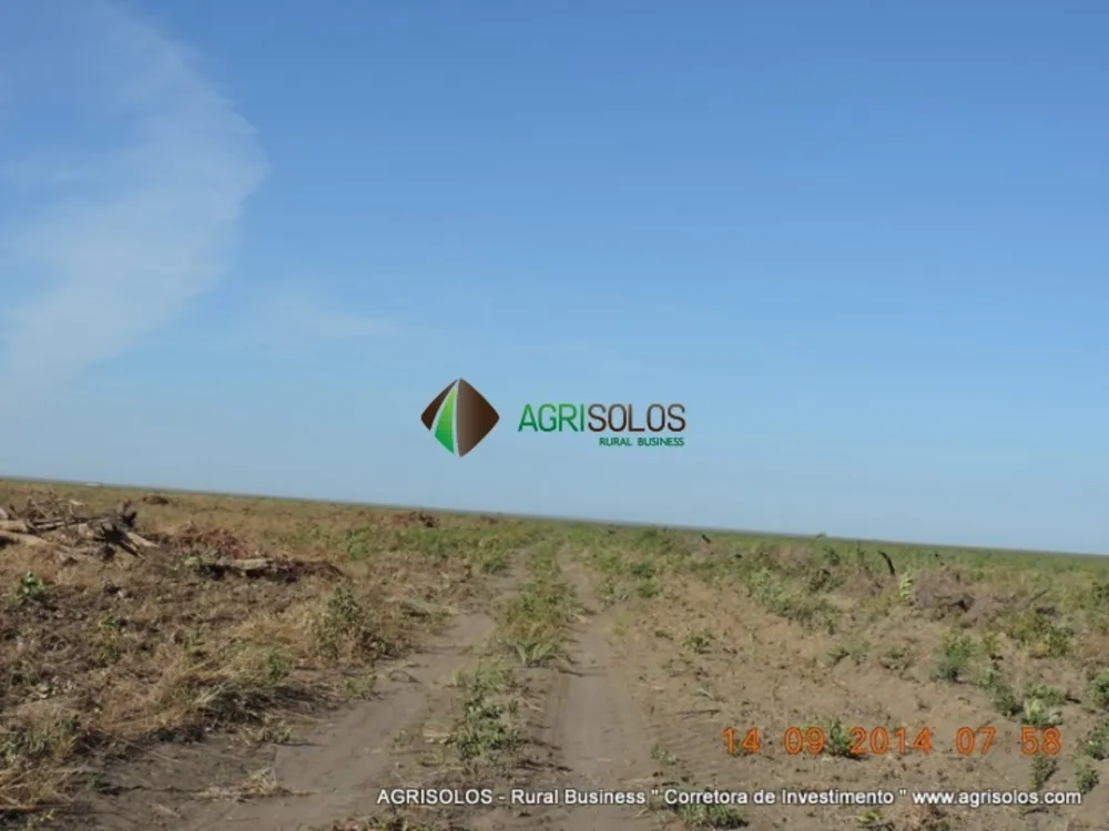 Terreno, 3 hectares - Foto 6