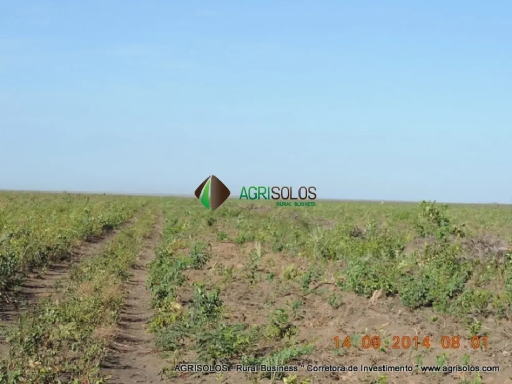 Terreno, 3 hectares - Foto 9