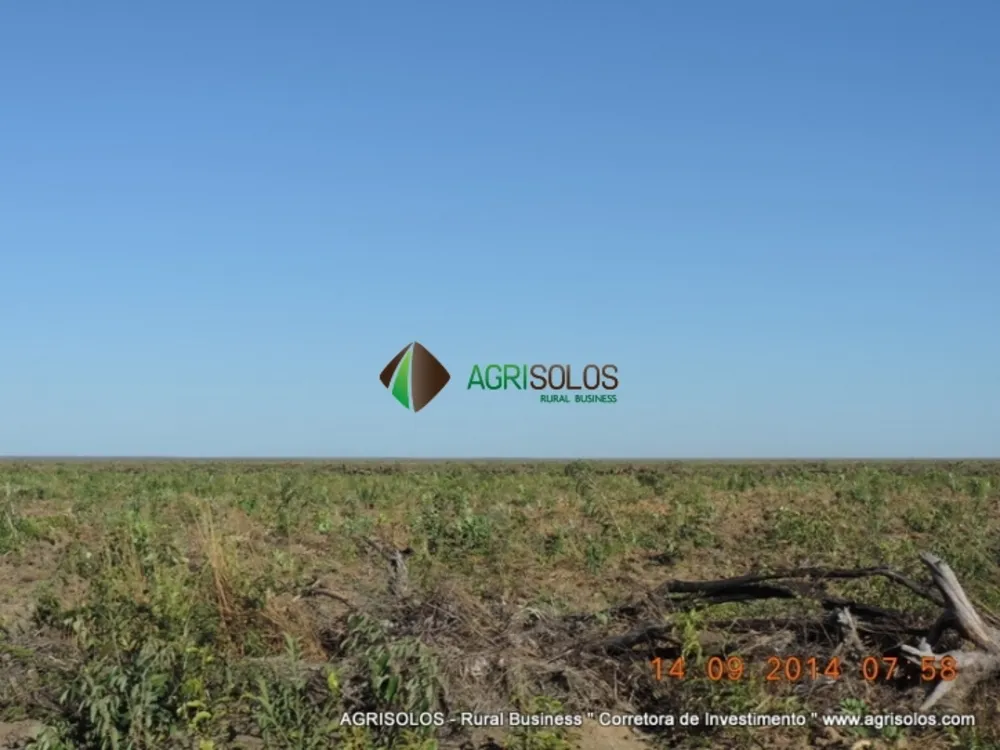 Terreno, 3 hectares - Foto 6