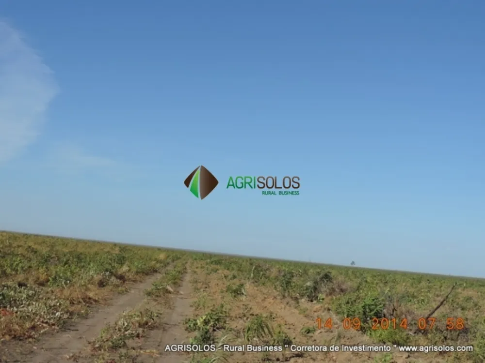 Terreno, 3 hectares - Foto 7