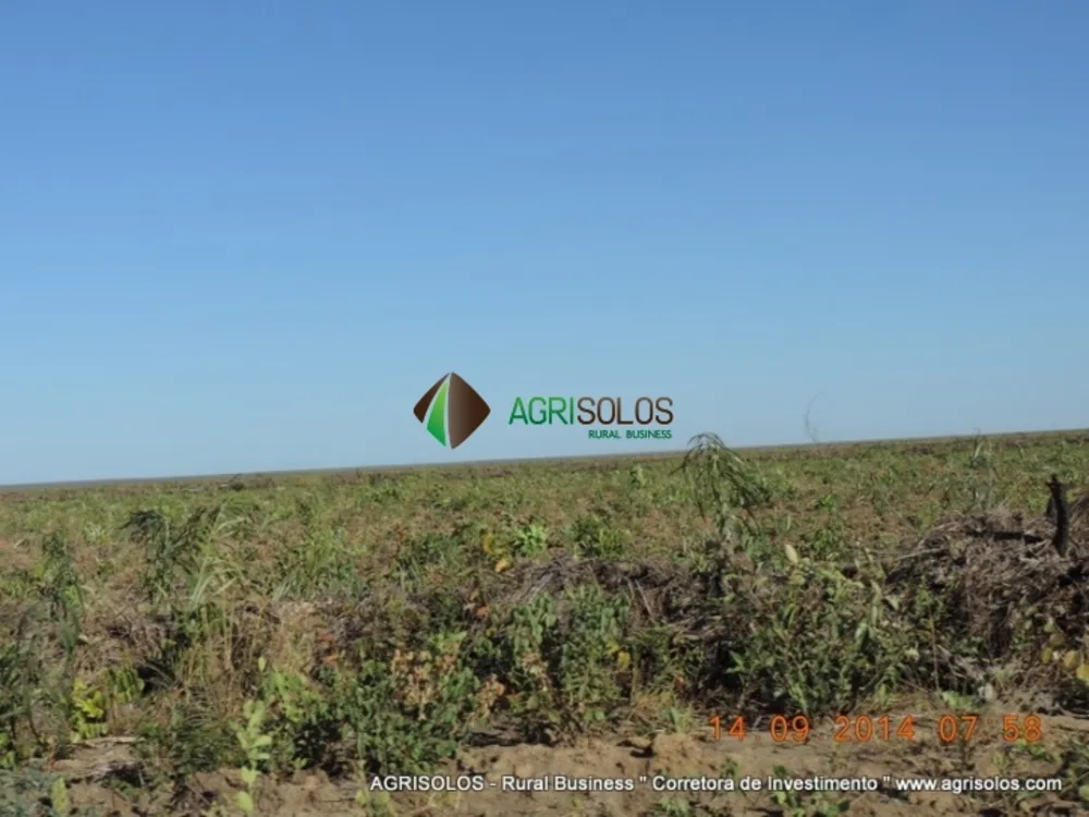Terreno, 3 hectares - Foto 8