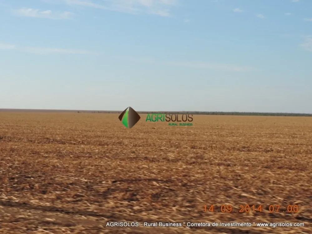 Terreno, 3 hectares - Foto 1