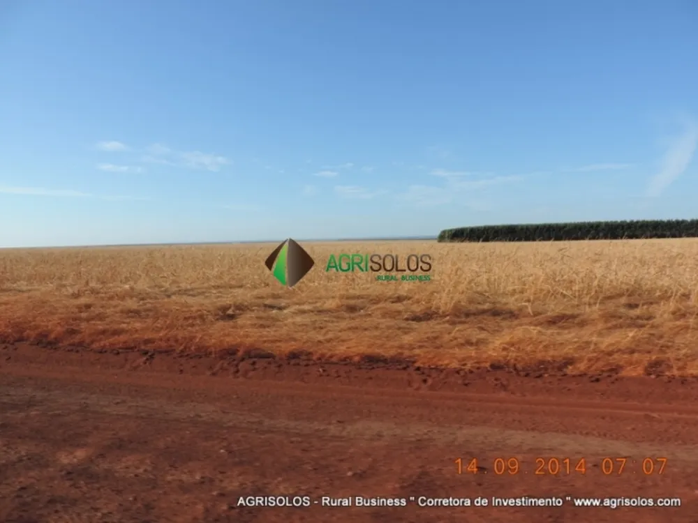 Terreno, 3 hectares - Foto 3