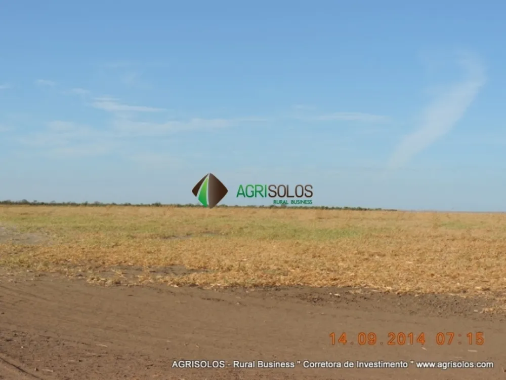 Terreno, 3 hectares - Foto 2