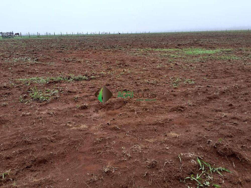 Terreno, 3 hectares - Foto 2