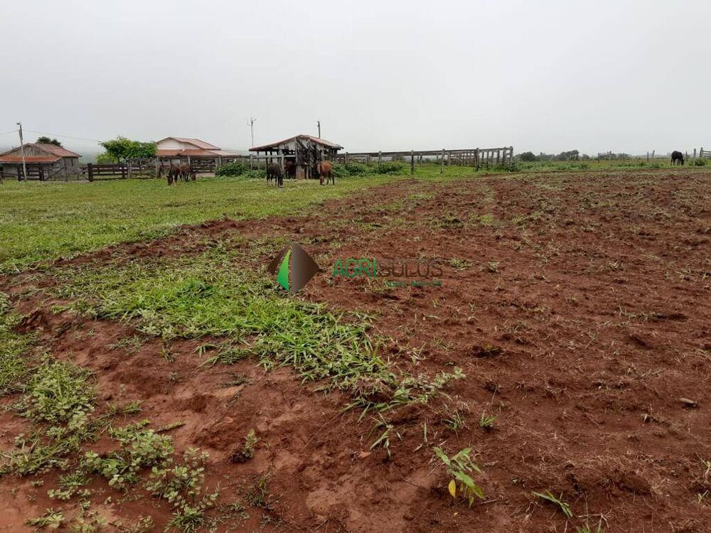 Terreno, 3 hectares - Foto 4