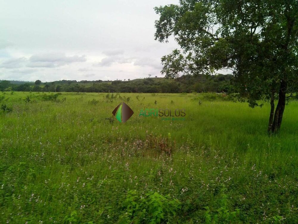 Terreno, 1 hectares - Foto 8