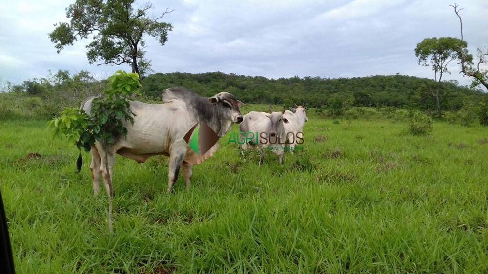 Terreno, 1 hectares - Foto 4