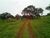 Terreno, 1 hectares - Foto 2