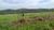 Terreno, 1 hectares - Foto 5