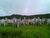 Terreno, 1 hectares - Foto 1