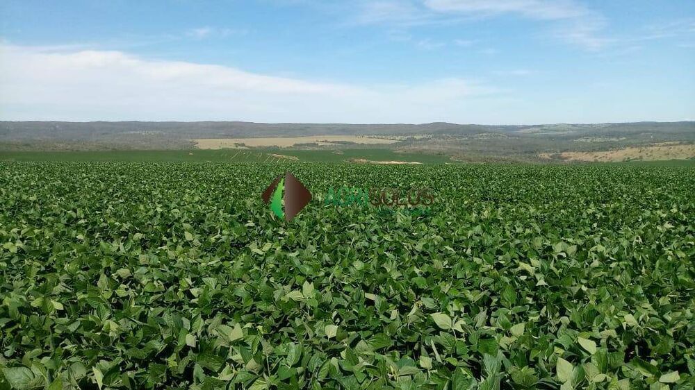 Terreno, 4500 m² - Foto 1