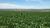 Terreno, 4500 m² - Foto 1