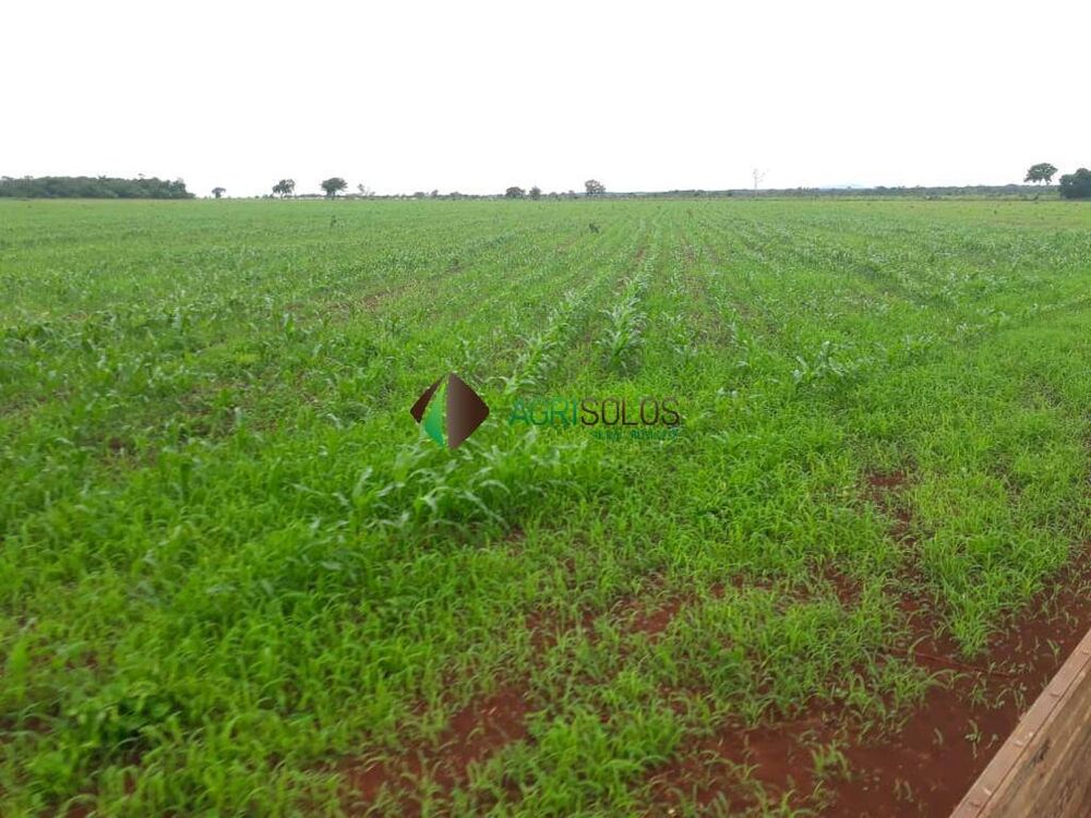 Terreno, 5000 m² - Foto 2