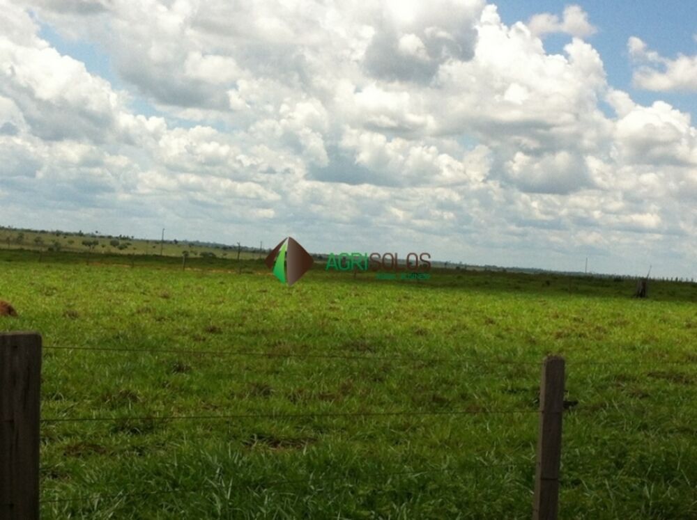 Terreno, 3 hectares - Foto 10