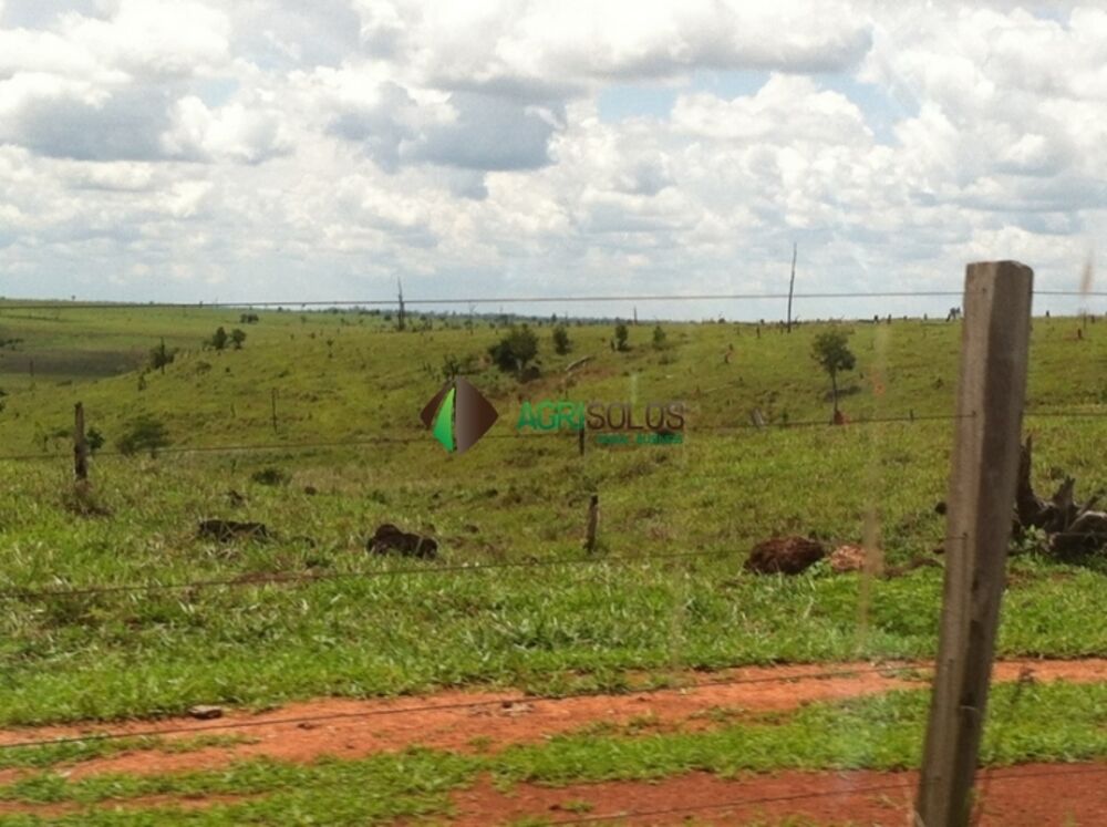 Terreno, 3 hectares - Foto 9