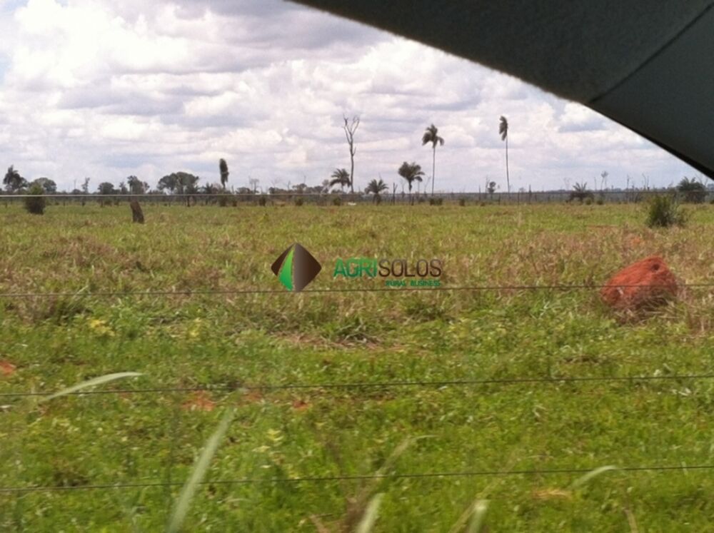 Terreno, 3 hectares - Foto 2