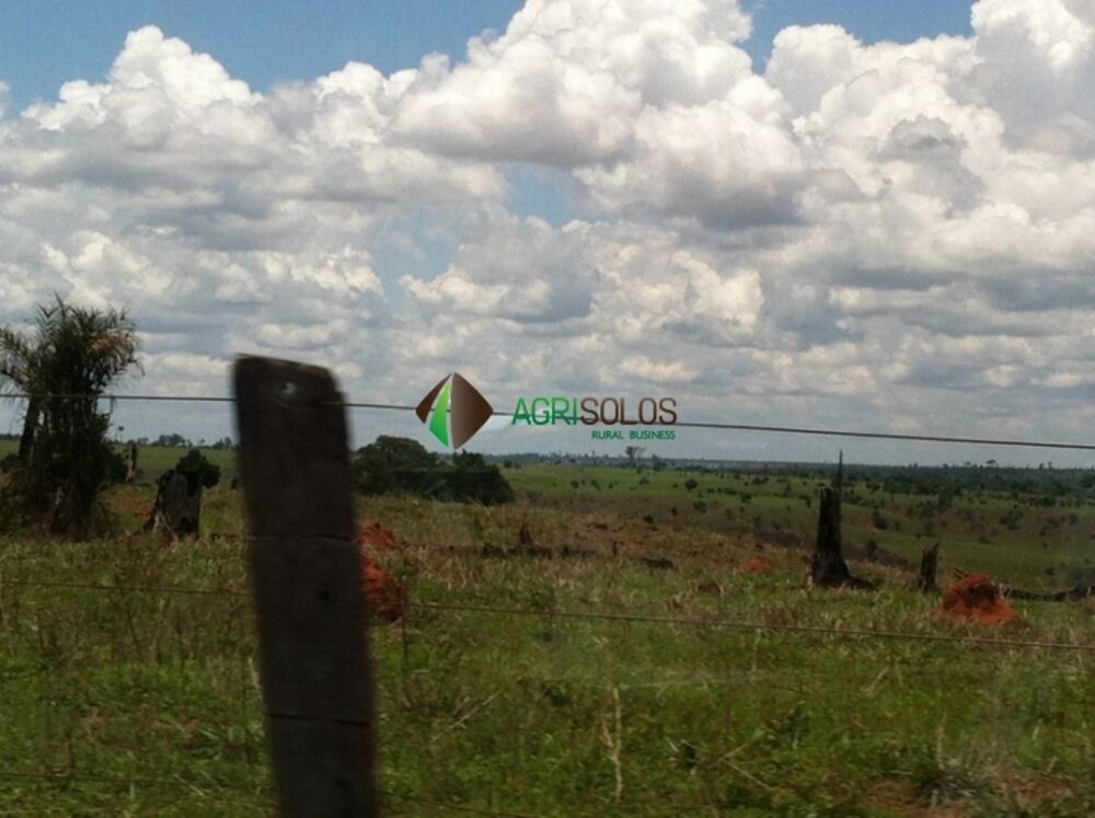 Terreno, 3 hectares - Foto 3