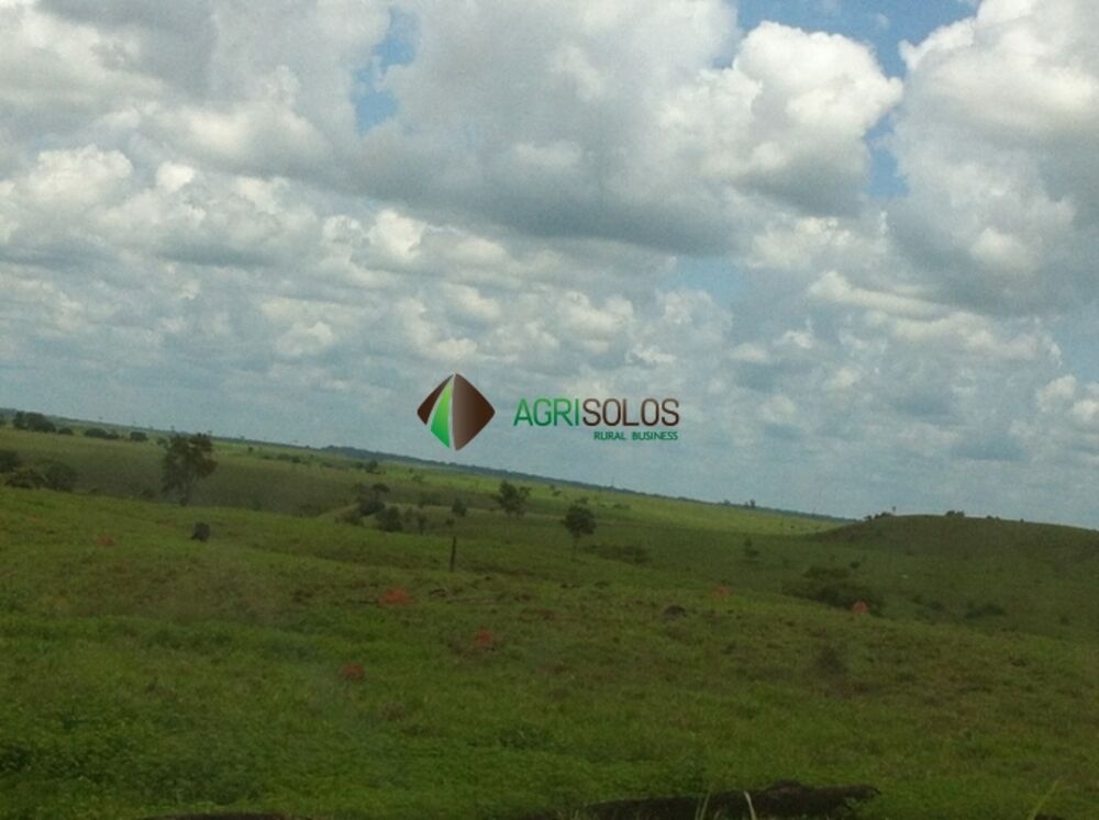 Terreno, 3 hectares - Foto 6