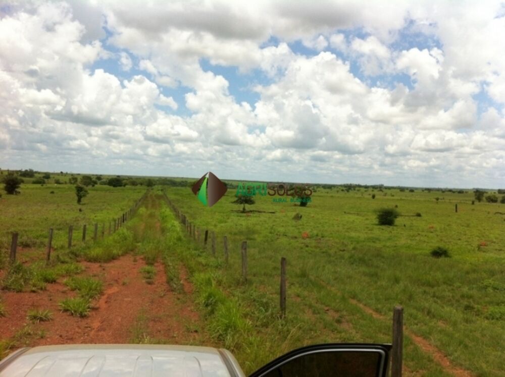 Terreno, 3 hectares - Foto 5