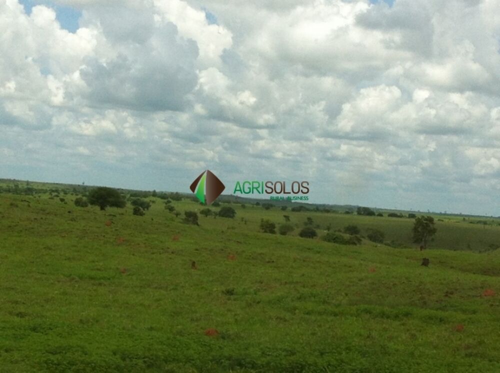 Terreno, 3 hectares - Foto 4