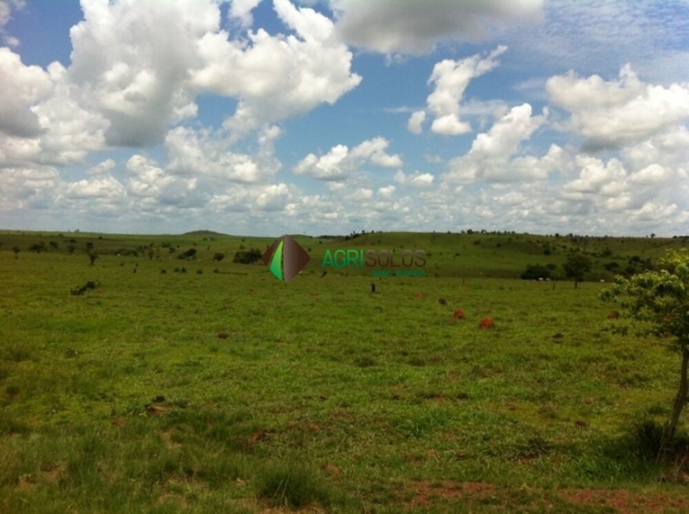 Terreno, 3 hectares - Foto 7