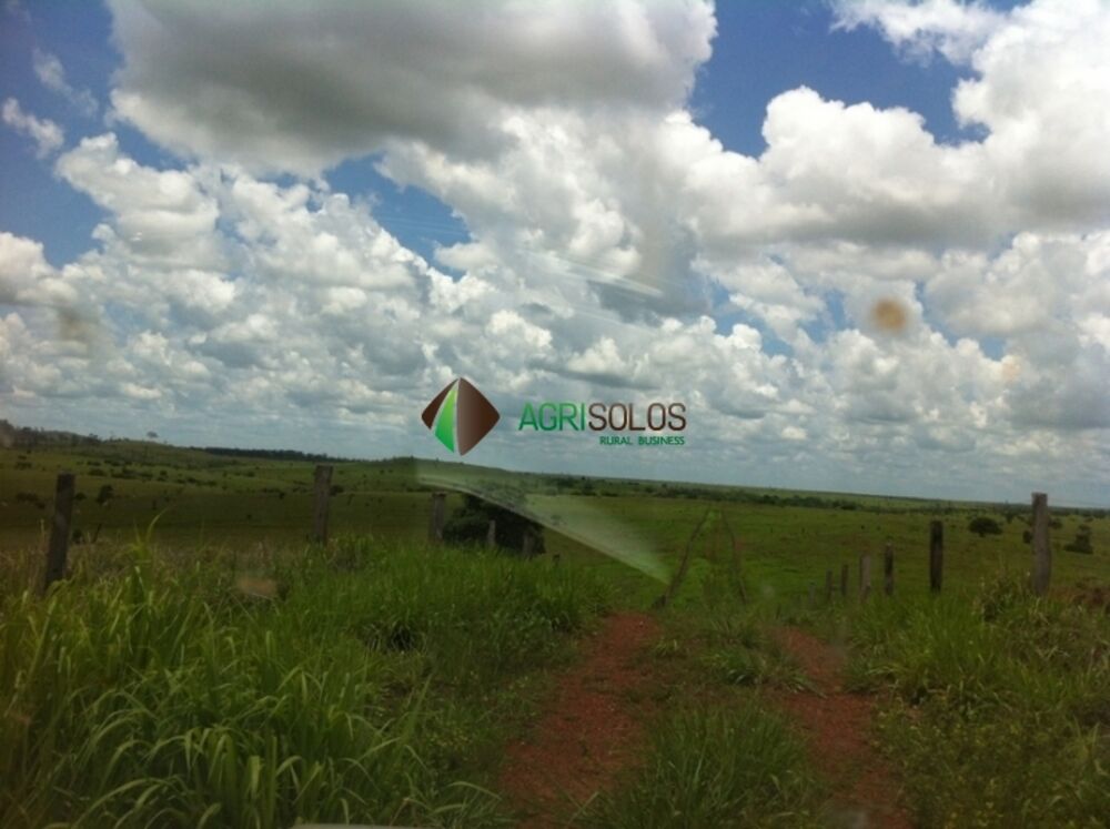 Terreno, 3 hectares - Foto 1