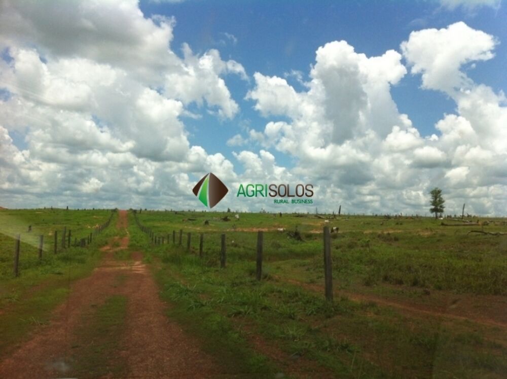 Terreno, 3 hectares - Foto 8