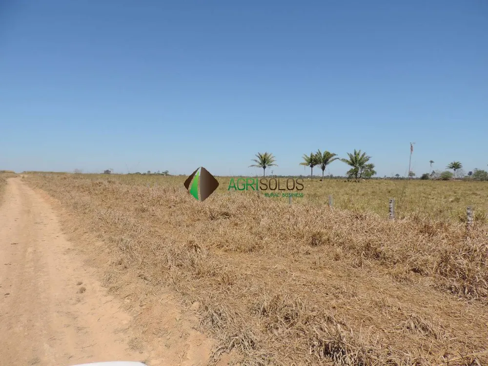 Terreno, 2 hectares - Foto 6