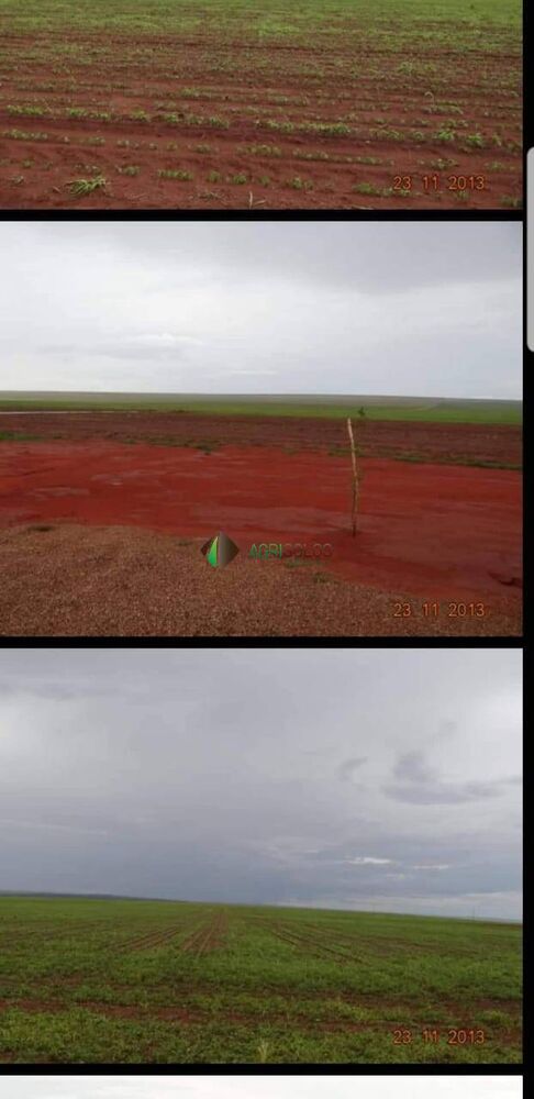 Terreno, 2 hectares - Foto 2