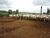 Terreno, 8800 m² - Foto 3