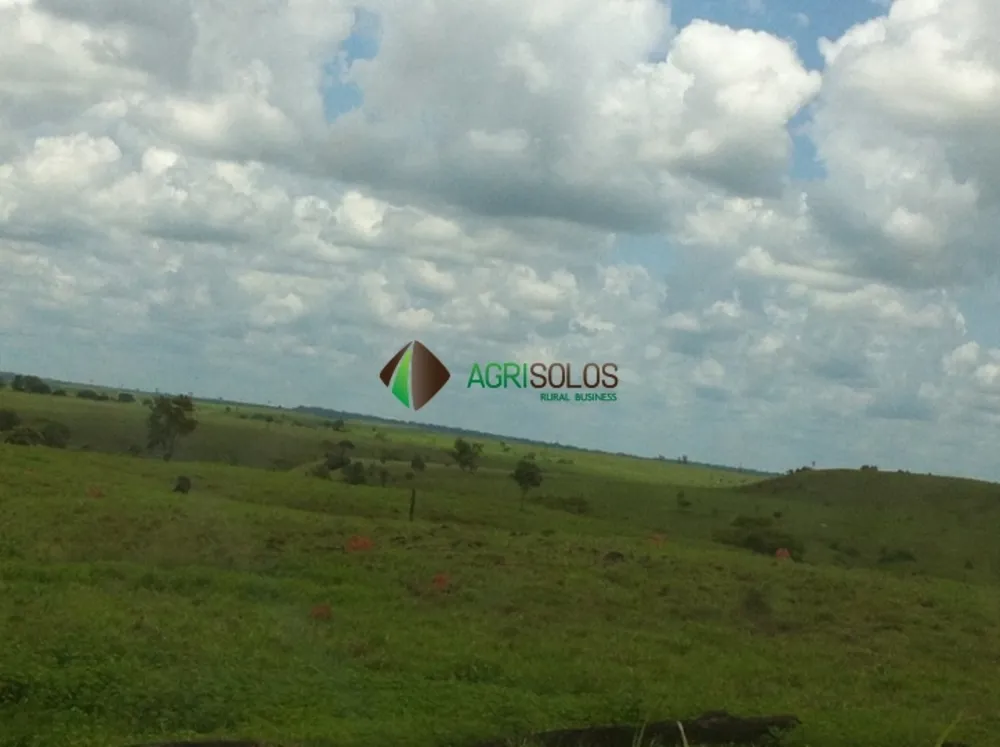 Terreno, 3 hectares - Foto 6