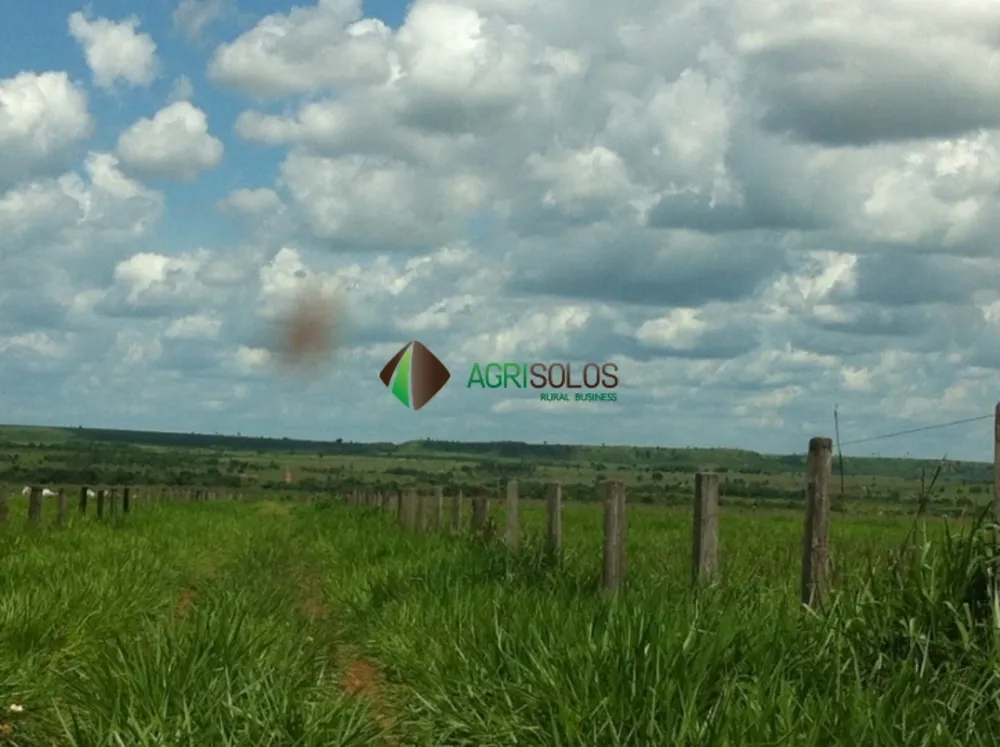 Terreno, 3 hectares - Foto 11