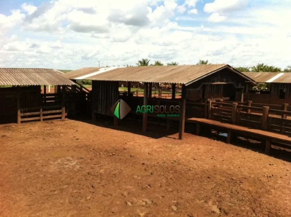 Terreno, 3 hectares - Foto 1