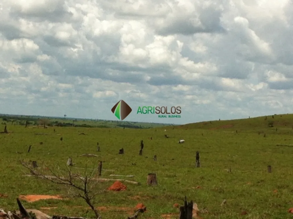 Terreno, 3 hectares - Foto 8