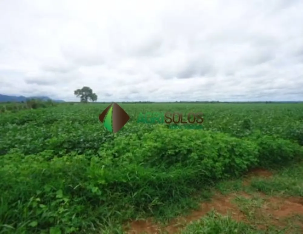 Terreno, 4200 m² - Foto 1