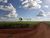 Terreno, 9500 m² - Foto 3