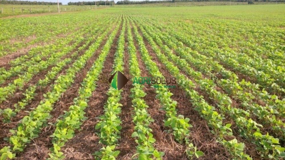 Terreno à venda, 2000m² - Foto 1