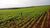 Terreno, 2000 m² - Foto 3
