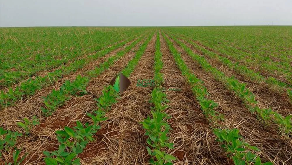 Terreno, 4 hectares - Foto 2