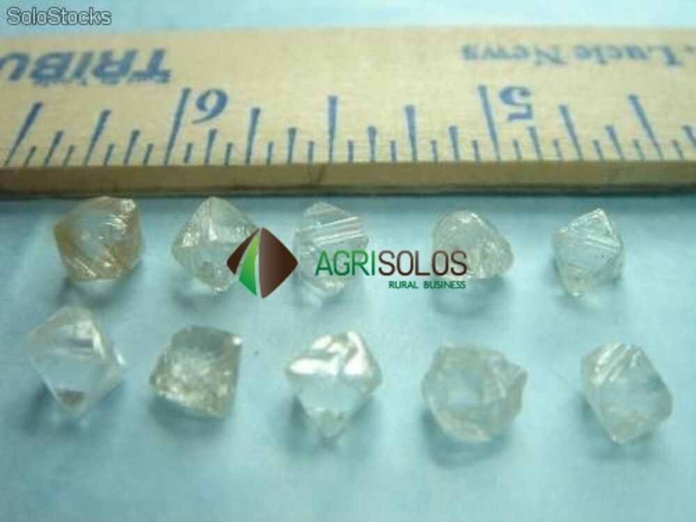 Prédio Inteiro, 1000000 m² - Foto 3