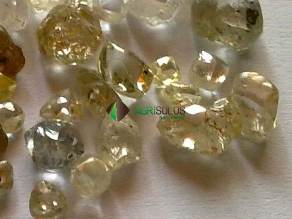 Prédio Inteiro, 1000000 m² - Foto 2