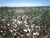 Terreno, 3 hectares - Foto 1