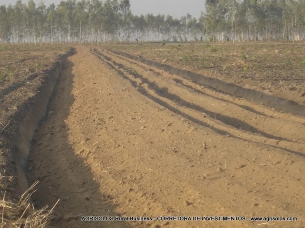 Terreno, 4000 m² - Foto 10