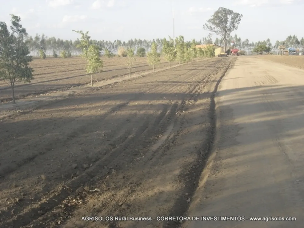 Terreno, 4000 m² - Foto 4