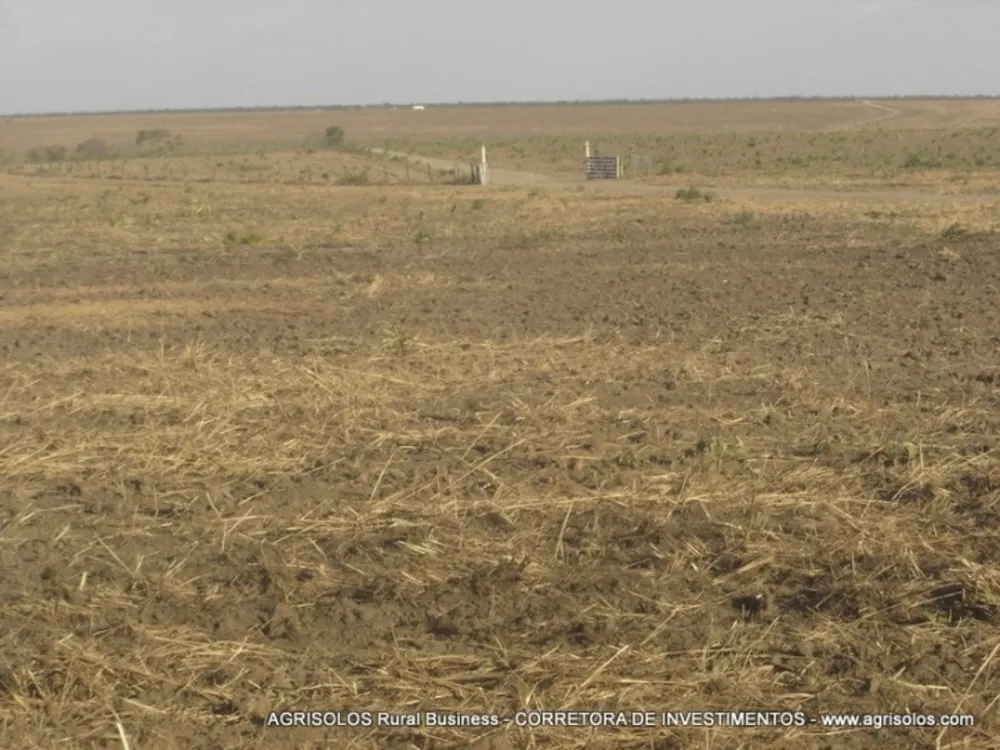 Terreno, 4000 m² - Foto 7