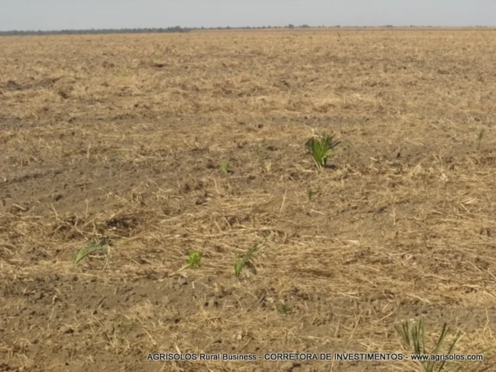 Terreno, 4000 m² - Foto 6